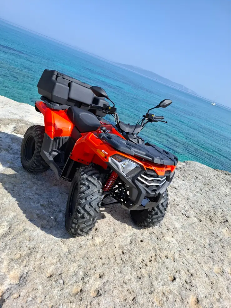 X-WOLF300cc